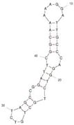 Perspectives in Aptasensor-Based Portable Detection for Biotoxins