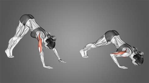 Pike Push-Ups: Benefits, Muscles Worked, and More - Inspire US | Pike ...