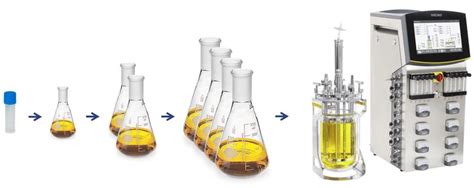 Image result for Upstream Manufacturing Process