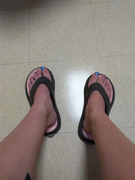 Morgpie Greenscreen 的图像结果