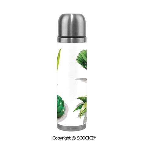 Buy Double Wall Vacuum Insulated Stainless Steel Water Bottle Aloe Vera ...