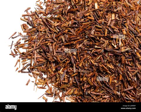 Rooibos plant hi-res stock photography and images - Alamy