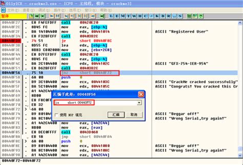 病毒分析与防护 反汇编工具的使用 修改输出 crackme3.exe注册 - SKPrimin - 博客园