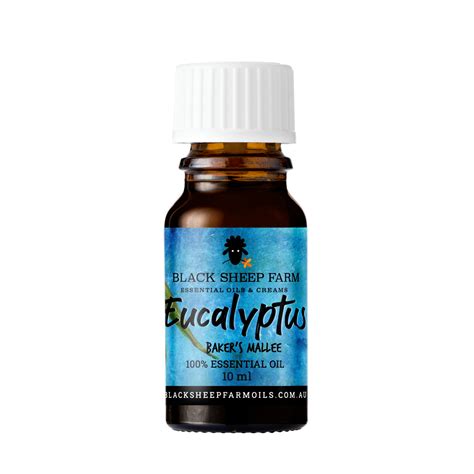 Eucalyptus (Eucalyptus bakeri) - 100% Essential Oil - Black Sheep Farm Oils