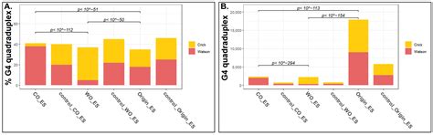Characterization of Unidirectional Replication Forks in the Mouse Genome