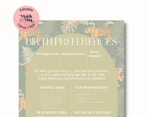 Editable Birth Plan Template, Canva Template, Simple Printable Birthing ...