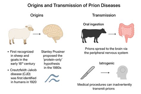 Rare Diseases Part IX: A Look at Prion Diseases | SK pharmteco