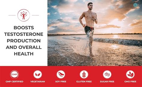 Boldfit Testosterone Supplement For Men With Tribulus Terrestris ...
