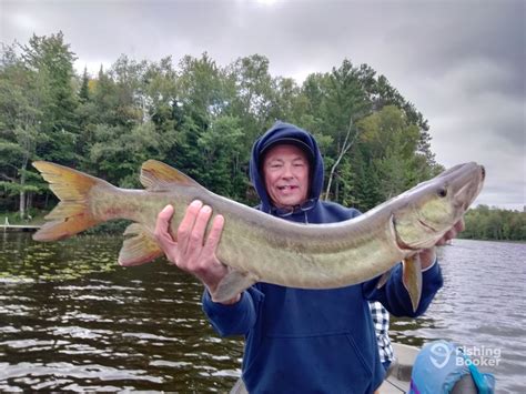 Boulder Junction Early Fall Muskie - Boulder Junction Fishing Report ...
