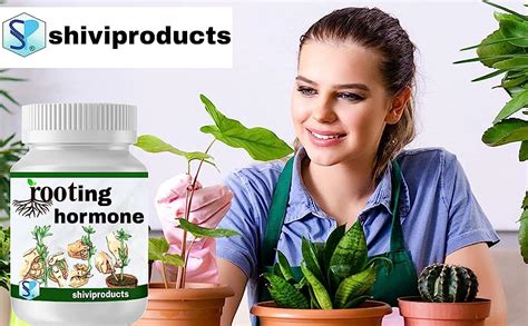 Shiviproducts Rooting Hormone powder for plants cuttings (50g ...