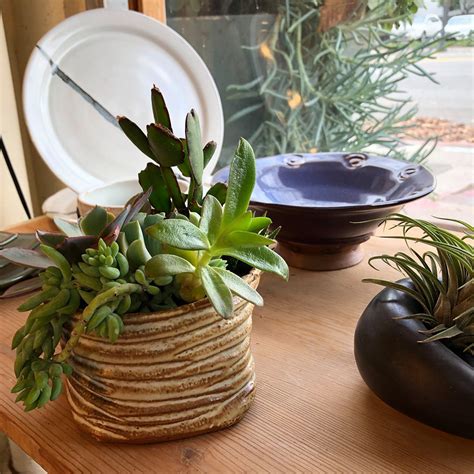 Gallery - Higher Fire