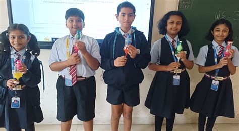 Working Model Of Lungs