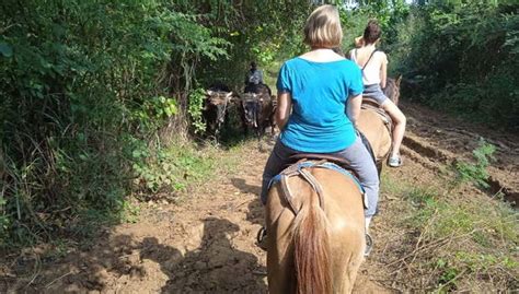 Excursión a caballo por el Parque Natural El Cubano, Trinidad - Central ...