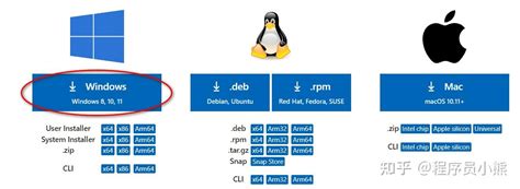 C Using vs Code Windows 的图像结果