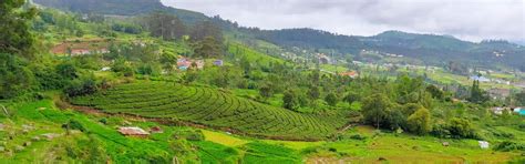 Make Your Next Trip Ooty and Kodaikanal Book Today