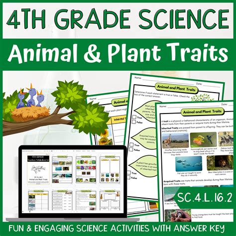 Animal and Plant Traits Activity & Answer Key 4th Grade Life Science ...