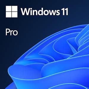 Microsoft Windows 11 Pro 64-Bit | FPP | USB 3.0 | Single License ...