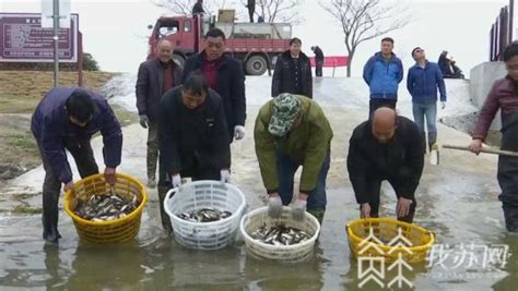 保护洪泽湖水环境和生物多样性 11年放流鱼蟹苗20多亿尾（只） _我苏网