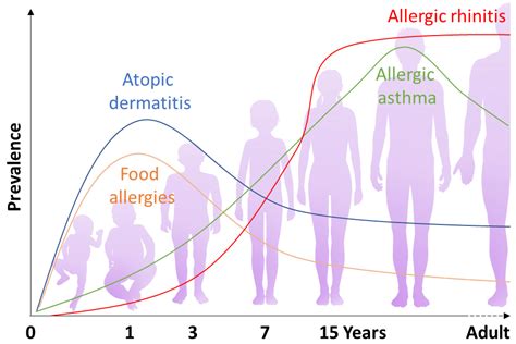 Allergy And Immunology Definition at Steven Hoopes blog
