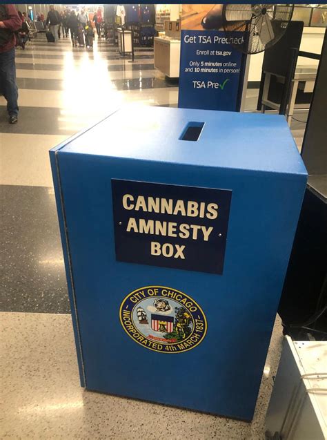 Cannabis Amnesty Box