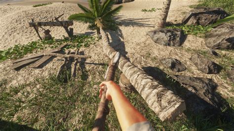 Image result for Stranded Deep Guide PC