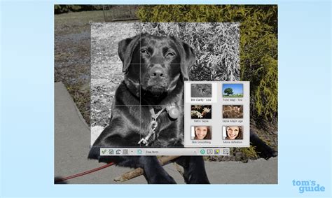Corel PaintShop Tutorial 的图像结果