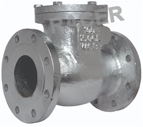 Check Valve - Flanged End Check Valve Manufacturer from Ahmedabad