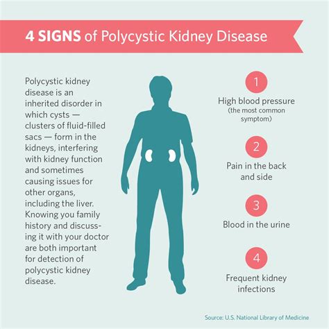 Polycystic Kidney Disease Symptoms