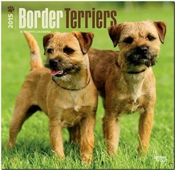 Buy Border Terriers 2015 Wall Book Online at Low Prices in India ...