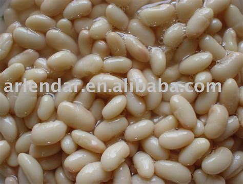 Canned white kidney beans,China price supplier - 21food