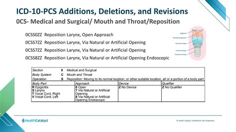 Insight into the 2024 ICD-10 PCS Updates - Part 2 | PDF