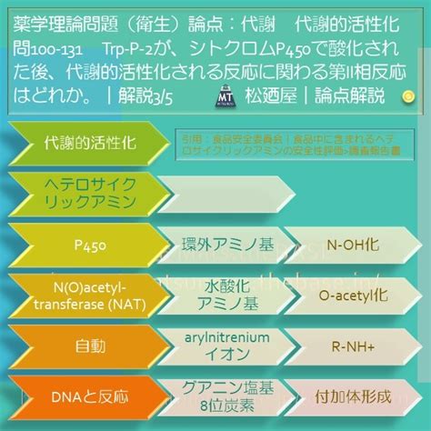 松廼屋｜論点解説 薬剤師国家試験対策ノート問100-131【衛生】論点：代謝 / 代謝的活性化 | 松廼屋 Mats.theBASE