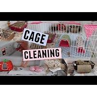 Pet Care International (PCI) Wipe Out Super Spray, a Cage Cleaner ...