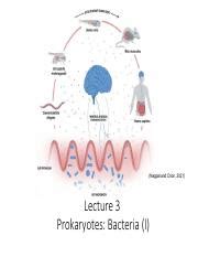 Image result for Course Prokaryotes