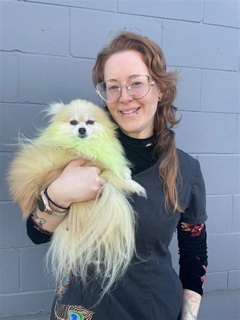 Technicians - Veterinary Cancer Society