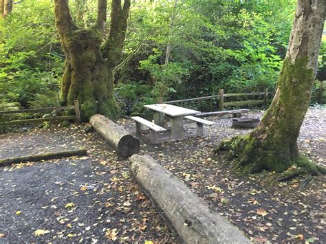 Potlatch State Park Camping | The Dyrt
