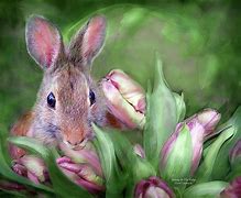 Image result for Mixed Media Bunny