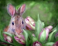 Image result for Tulips and Bunnies