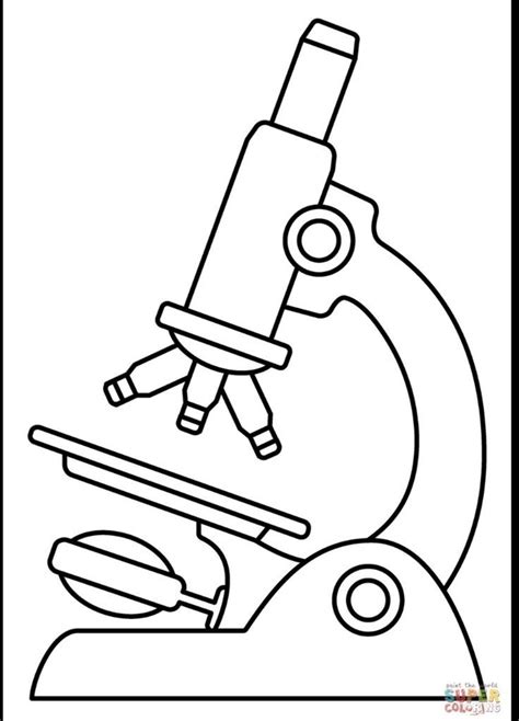 Image result for Compound Microscope Drawing with Label