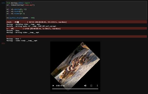Image result for Automate Video Editing with Python and Moviepy