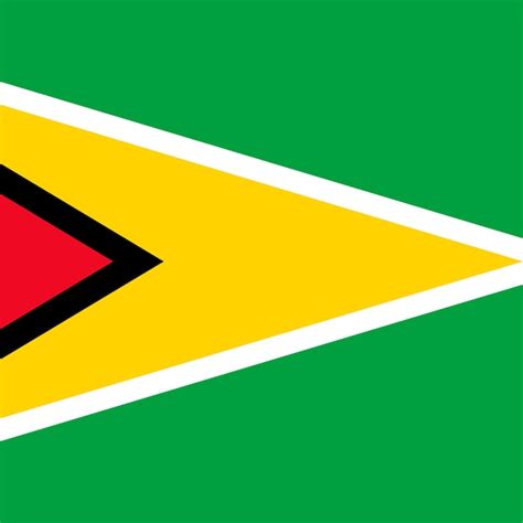 Vlag van Guyana officiële kleuren Vectorillustratie | Premium Vector