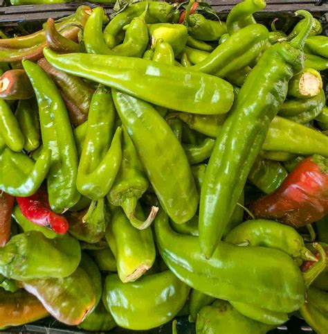 Hatch Green Chile - Farmers Chile Market