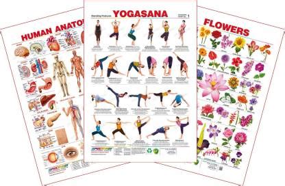 Set of 3 Educational Wall Charts (Human Anatomy, Yogasana 1 & Flowers ...