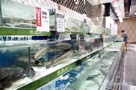 买鲈鱼，要懂“海鲈”和“河鲈”的区别，差别不少，建议仔细了解 - 知乎