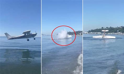 Cessna Planes Crashing Into The Water Plane From Wellington Crashes