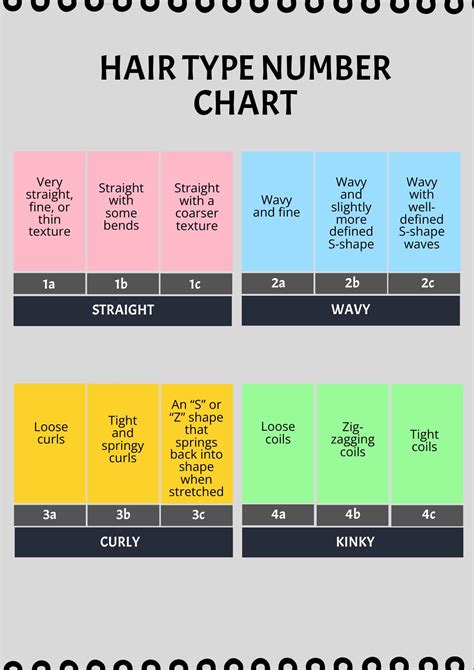 Hair Types By Number And Letter at Jack Radcliffe blog