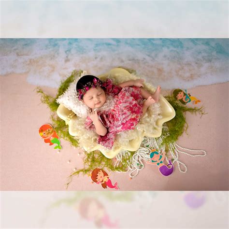 Premium Sea Shell (Shipping Extra) – Madras Prop Store