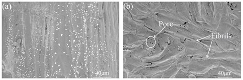 Properties of Luffa Fiber Reinforced PHBV Biodegradable Composites