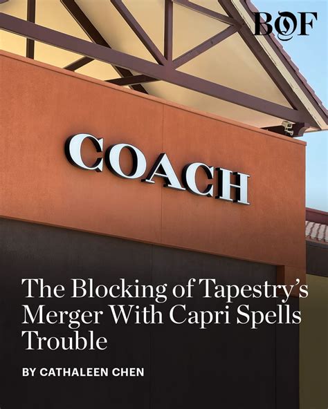 The dream of creating an American answer to LVMH and Kering faced a ...