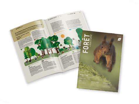 La Nature 的图像结果